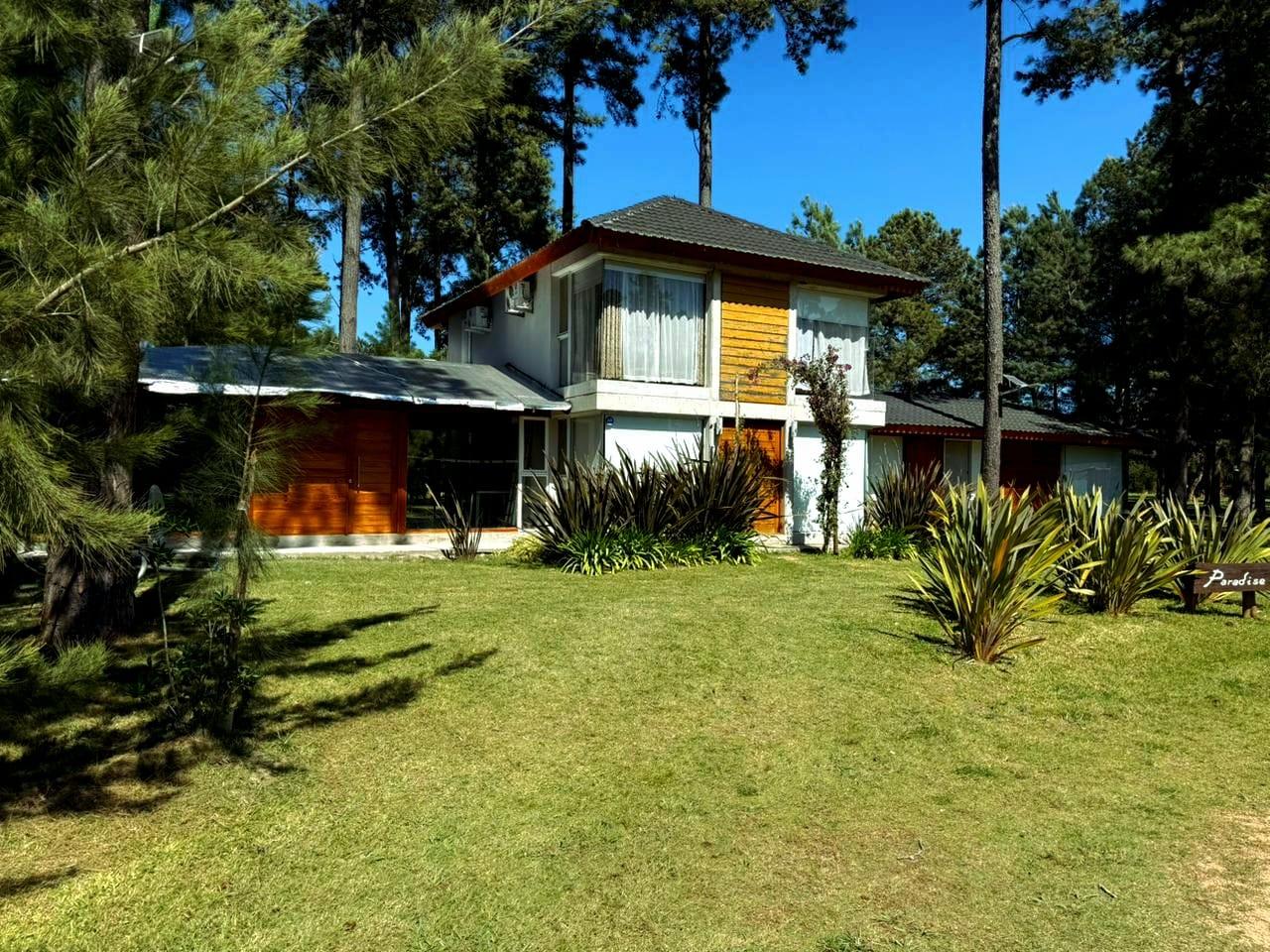 Departamento en alquiler bajo precio de mercado en Punta Ballena