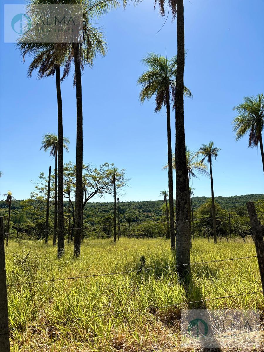 EN VENTA Casa Quinta 13.5Ha en Piribebuy — foto 2