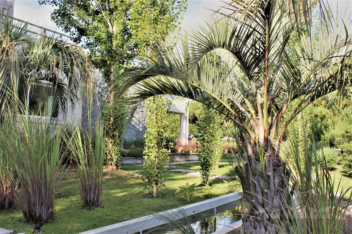 Mansión en Laguna Estates 6 dormitorios en suite Manantiales Punta del Este · Foto 4