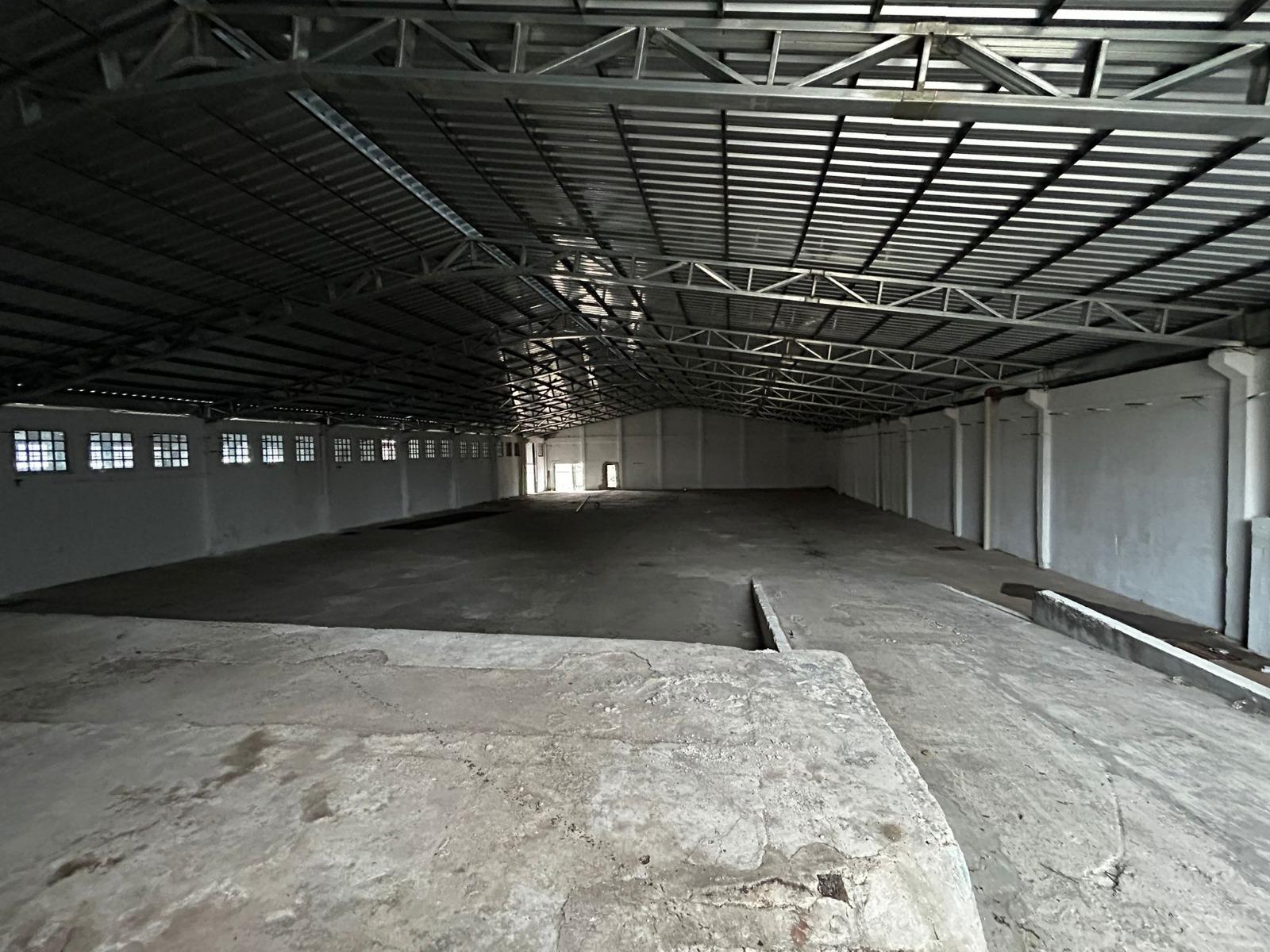Proximo Garzón y San Quintin, Galpón de 1700m2, vigilancia 24 hs !! · Foto 5