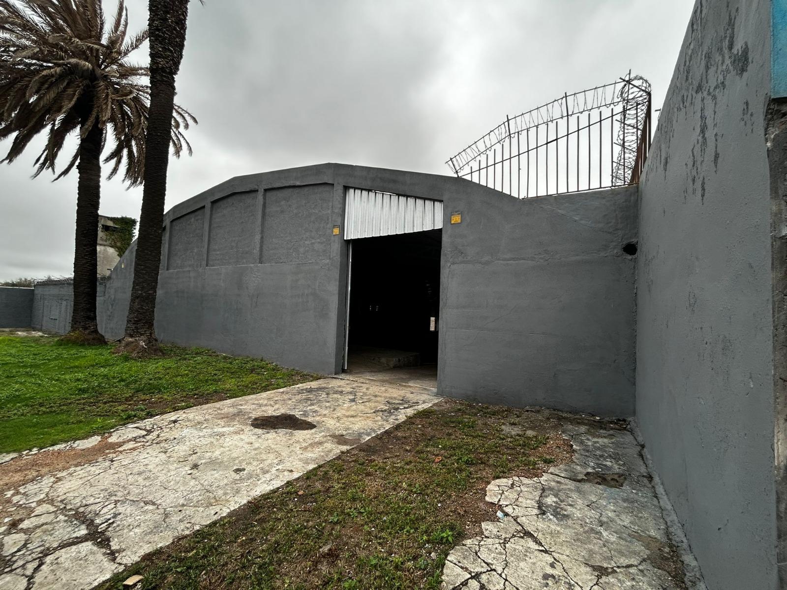 Proximo Garzón y San Quintin, Galpón de 1700m2, vigilancia 24 hs !! · Foto 11