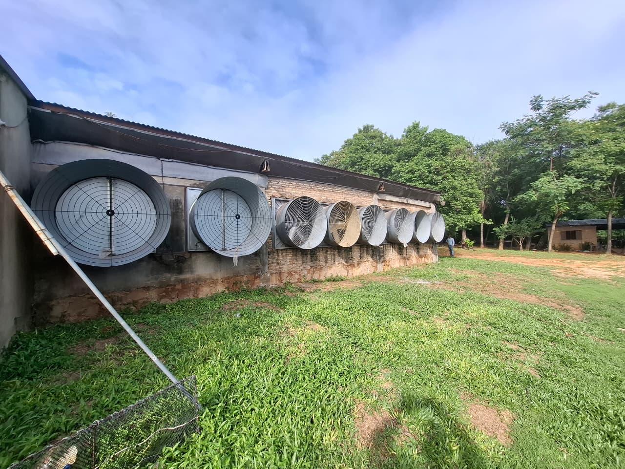 Campo Avicola en venta 7Ha en Emboscada — foto 2