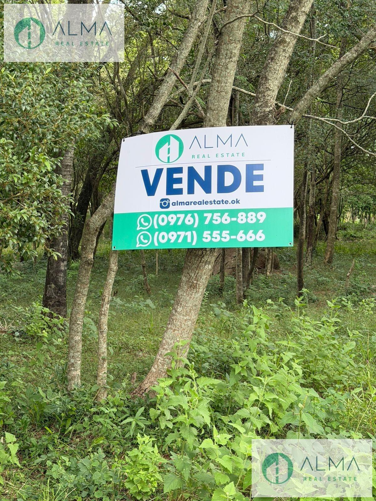 Terreno - Sapucai — foto 2