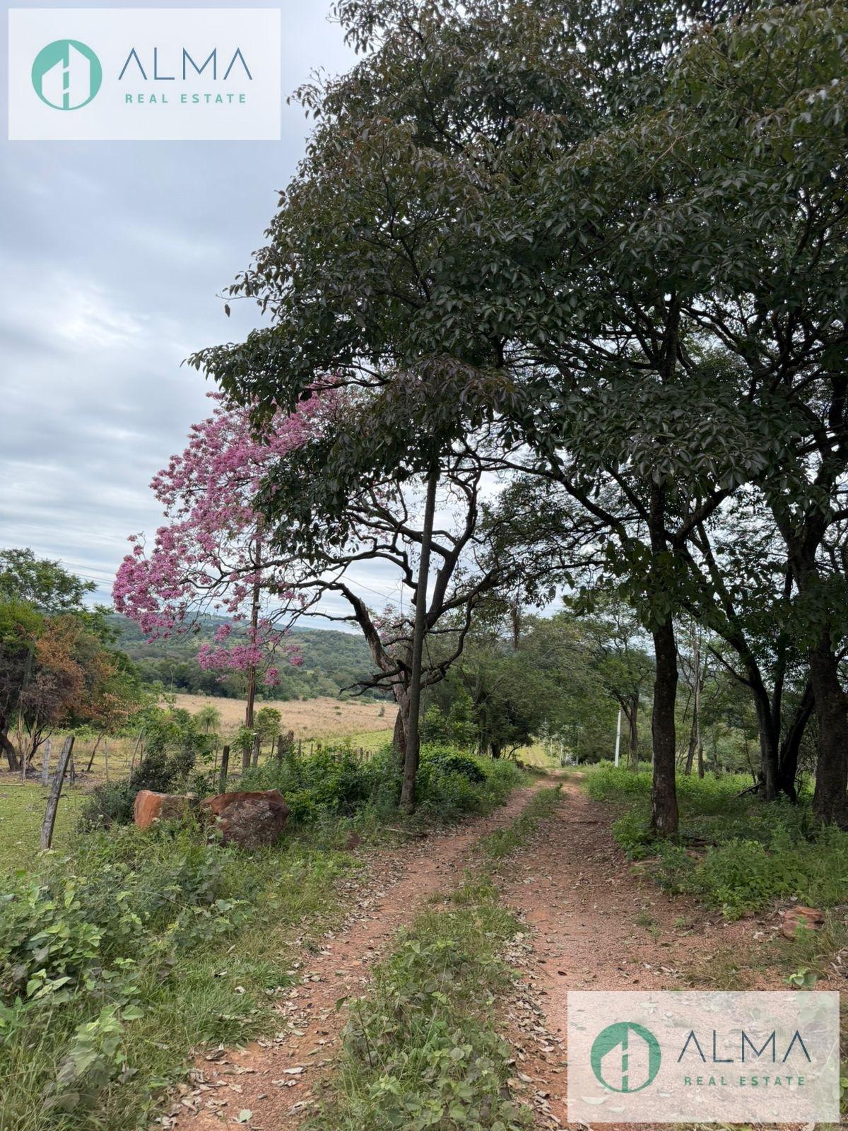 Terreno - Sapucai — foto 3