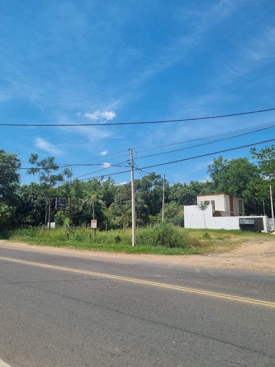 Alquilo terreno sobre Av. Guillermo Neumann, San Bernardino — foto 3
