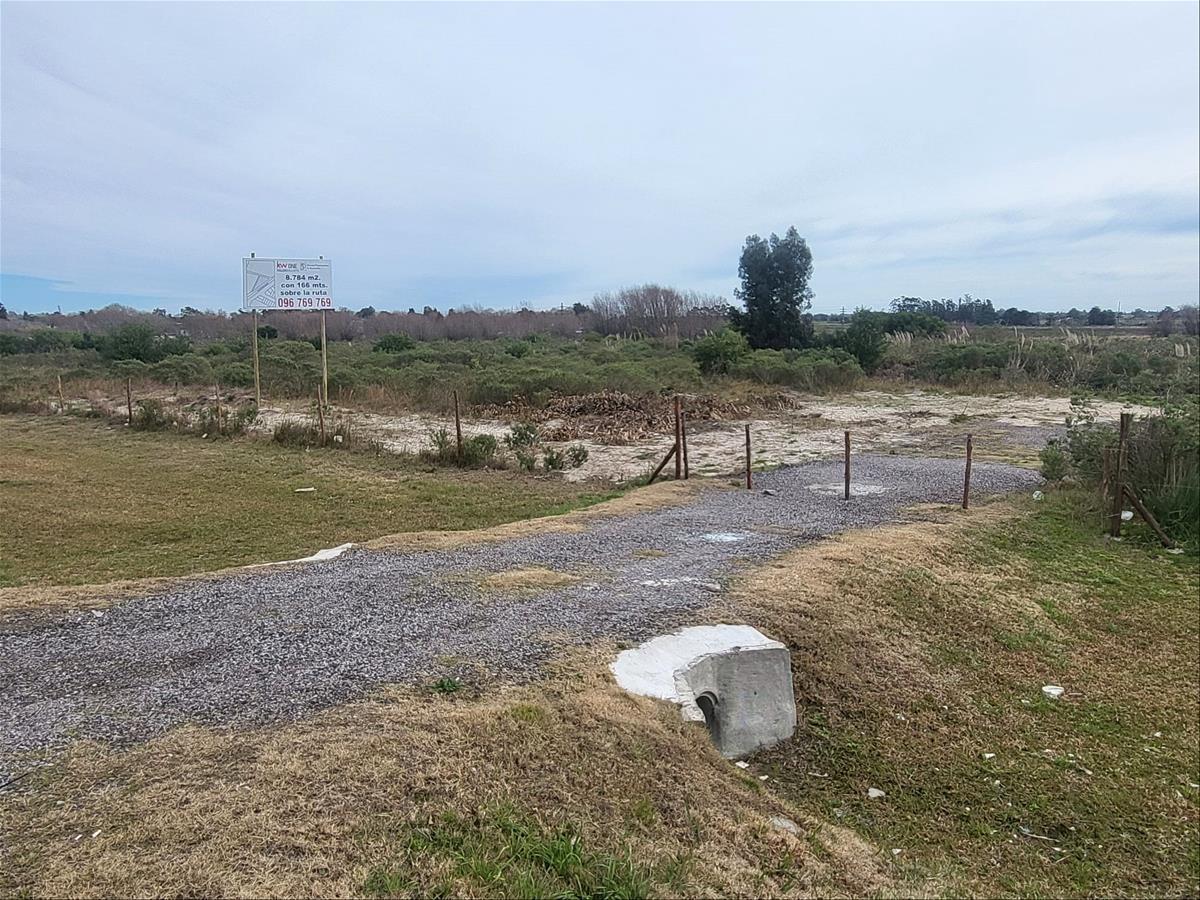 ALQUILER DE TERRENO EL PINAR, SOBRE ÍNTERBALNEARIA, KM 28 · Foto 4