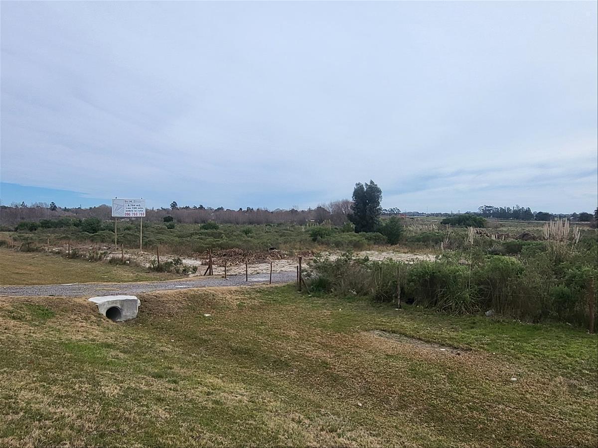 ALQUILER DE TERRENO EL PINAR, SOBRE ÍNTERBALNEARIA, KM 28 · Foto 5