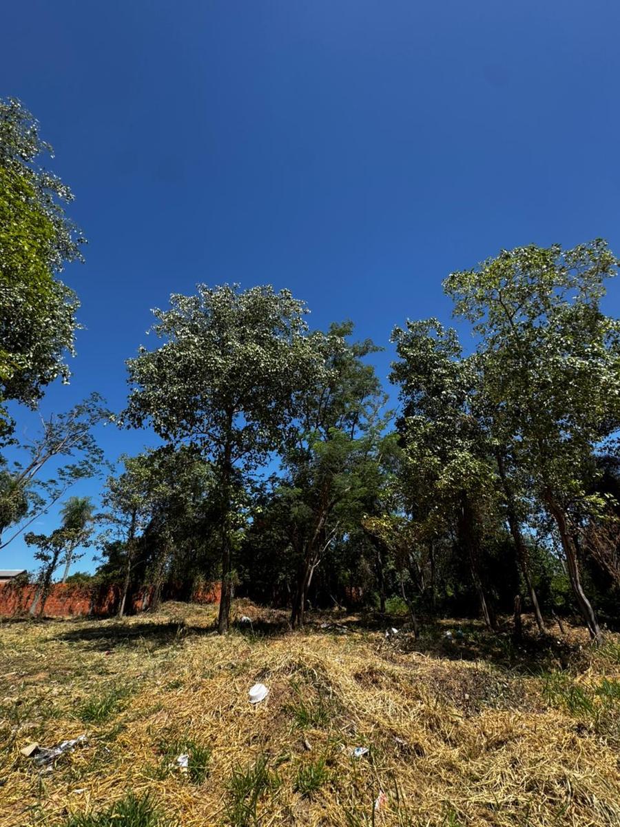 Terreno en venta 360 m2 en Mariano Roque Alonso - foto 1