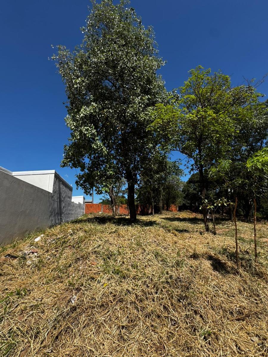 Terreno en venta 360 m2 en Mariano Roque Alonso — foto 2