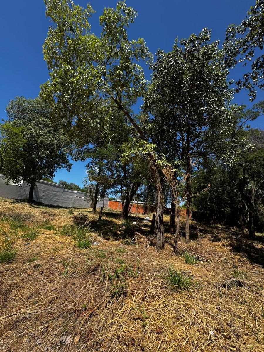Terreno en venta 360 m2 en Mariano Roque Alonso — foto 3