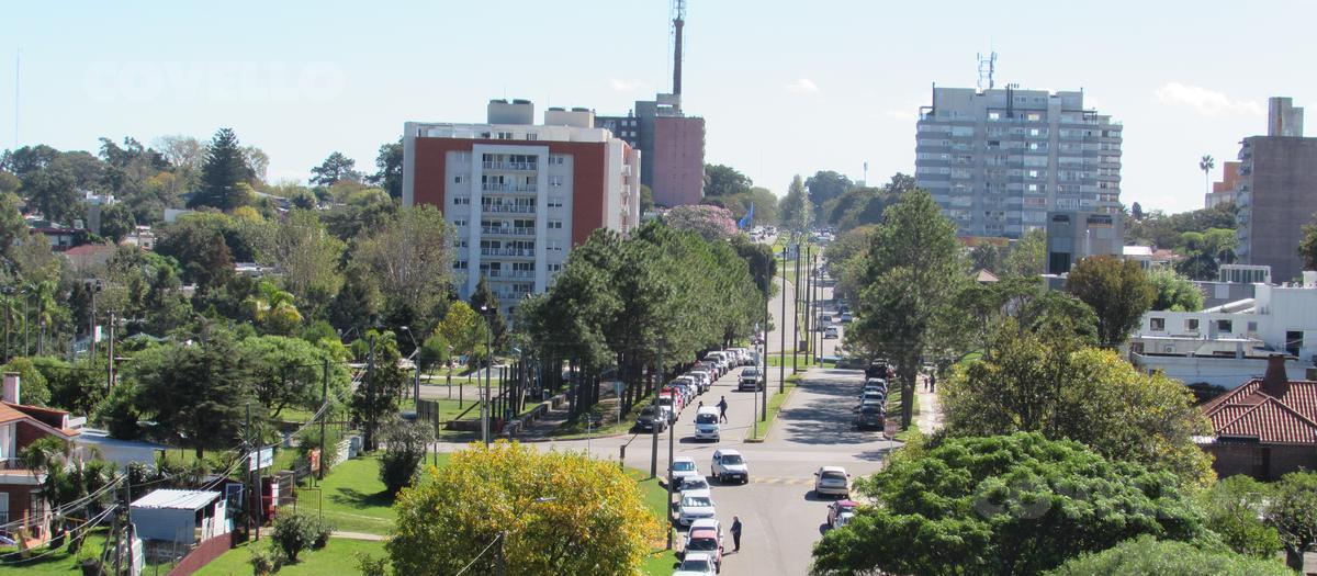 Foto 5 de 11