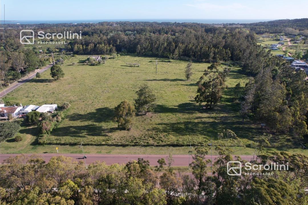 Terreno en venta - foto 1