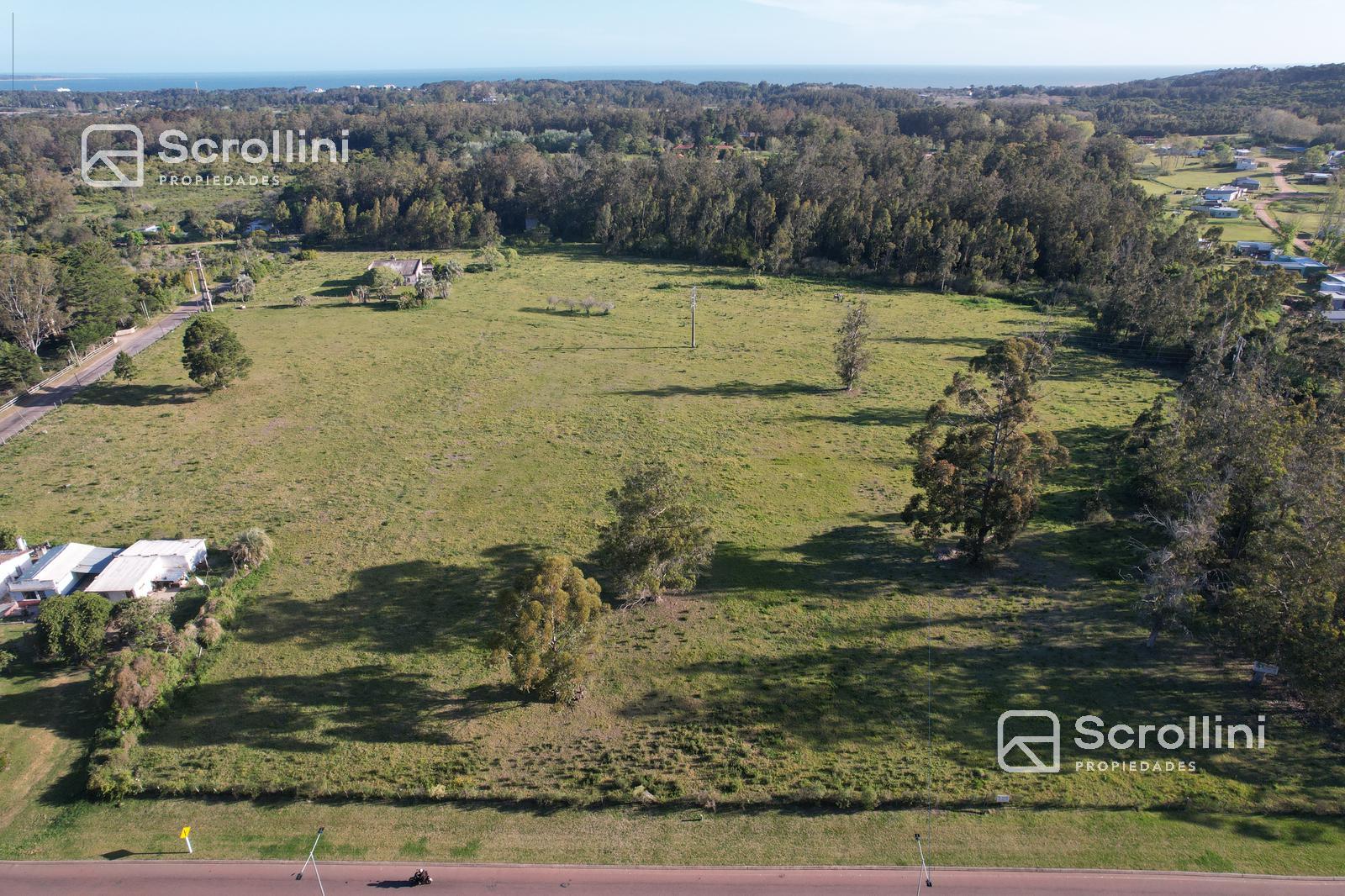 Terreno en venta - foto 2