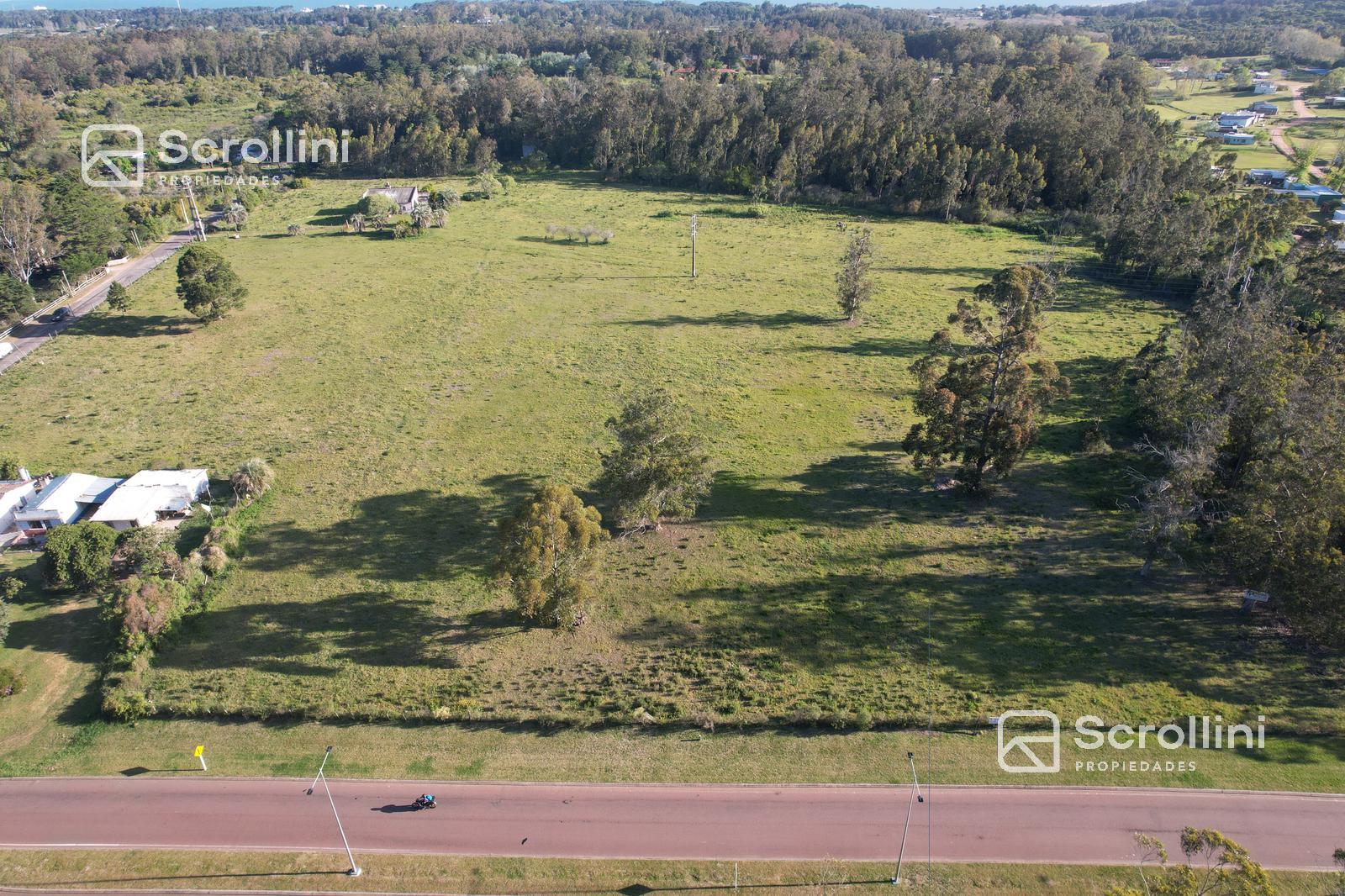 Terreno en venta - foto 3