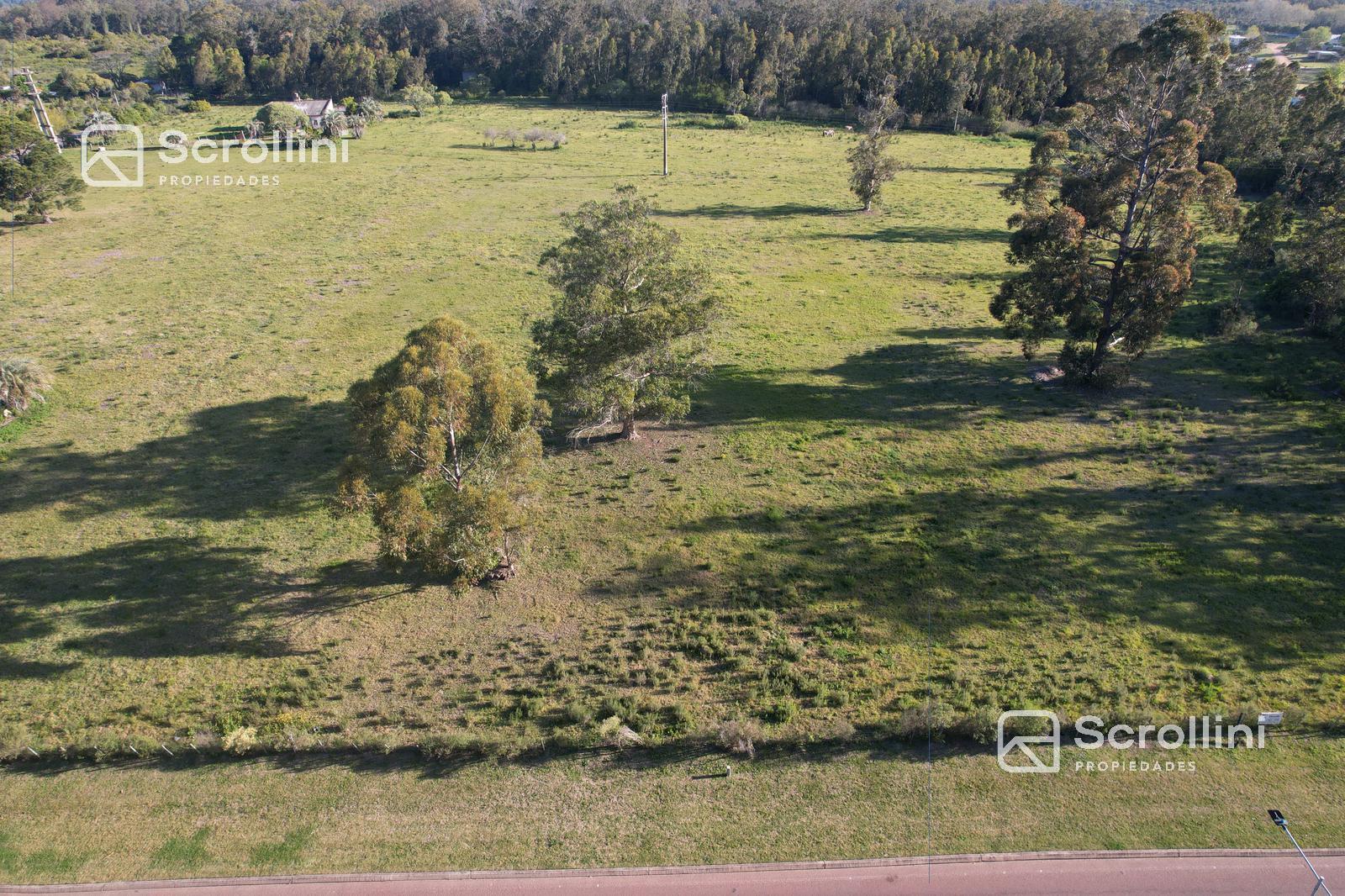 Terreno en venta - foto 4