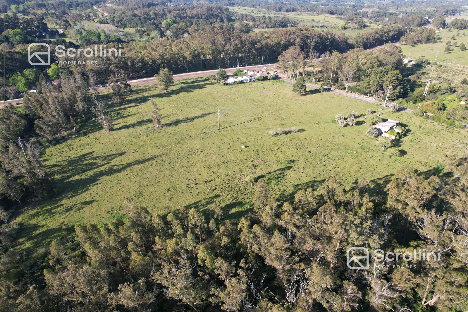 Terreno en venta - foto 5
