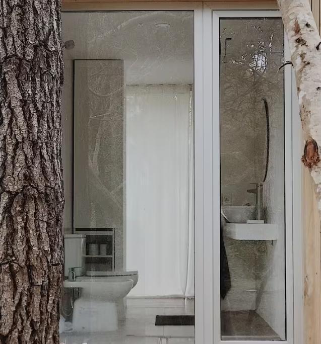 Photo 5 of 10