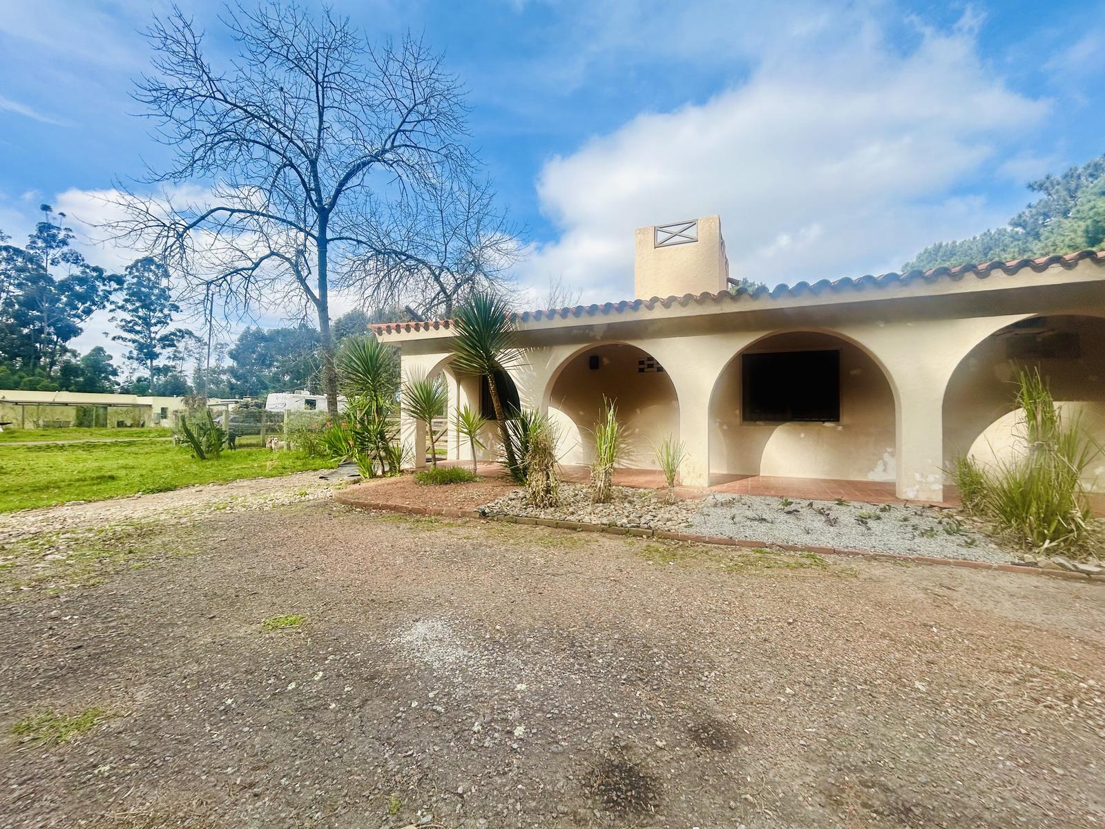 Venta casa 3 dormitorios más dependencia, piscina, y más de 5.000 m2 de terreno Punta del Este - foto 4