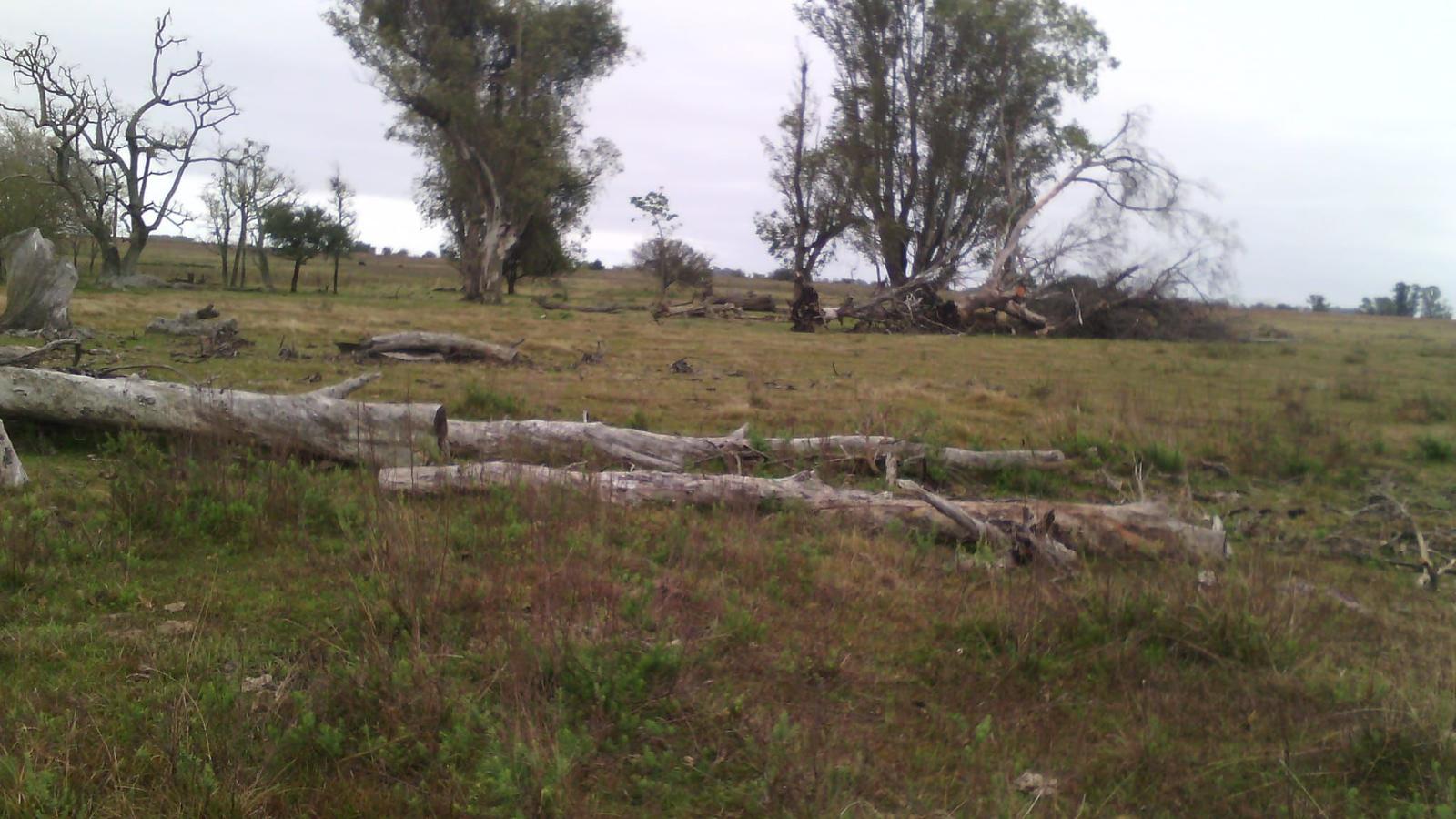 Campo en Salto - foto 1