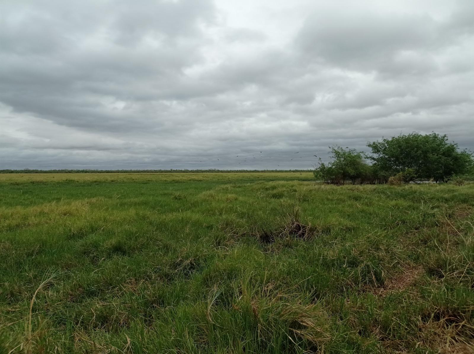 Campo en venta 1394 ha en Fuerte Olimpo Chaco Paraguayo — photo 1