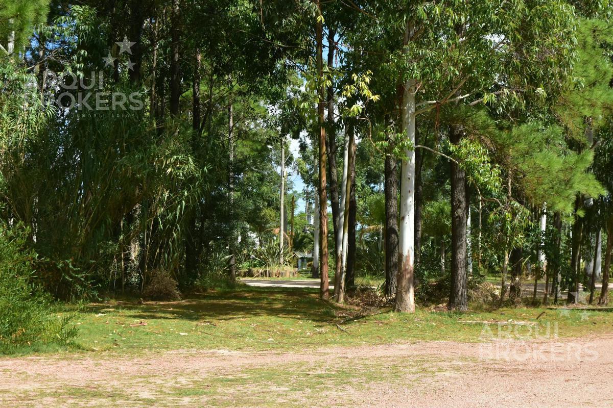 Apartamento de tres dormitorios en alquiler en Haras del Lago - C109