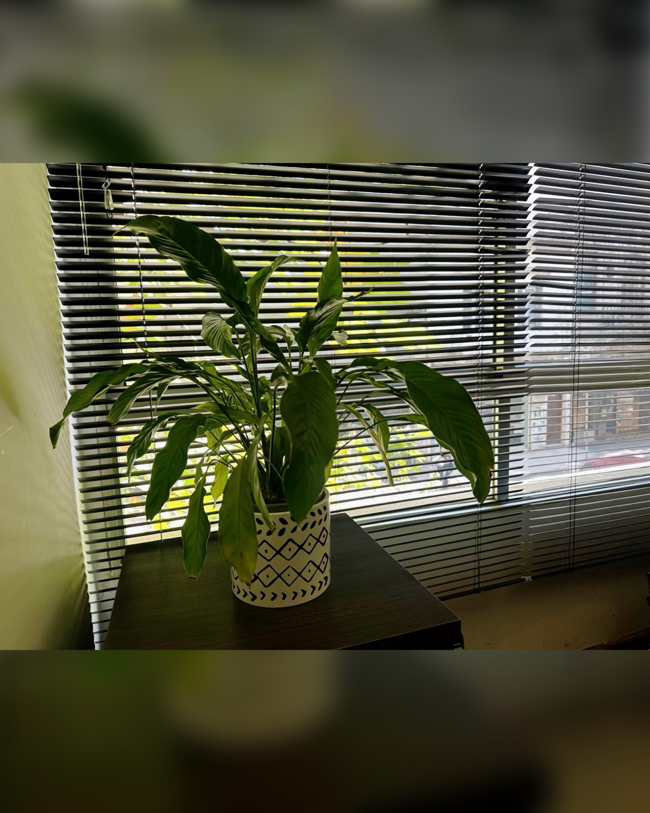 Monoambiente Grande muy grande 60m2 · Foto 5