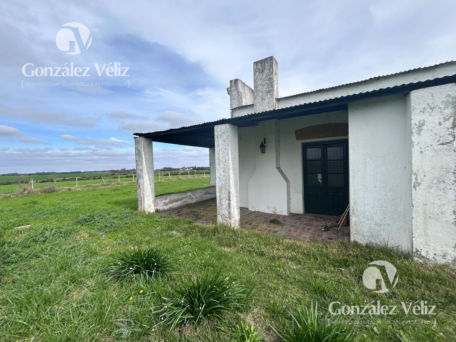 Gran Chacra en Estanzuela · Foto 2