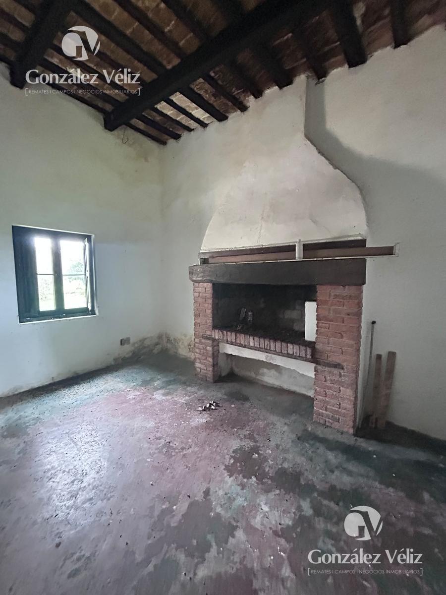 Gran Chacra en Estanzuela · Foto 6