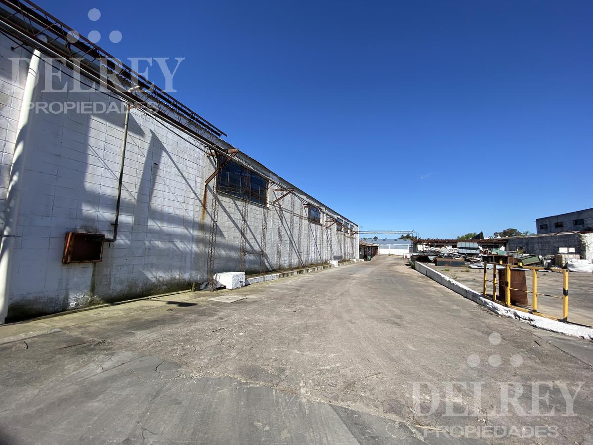 Alquiler Galpón - Las Piedras DELREY PROPIEDADES · Foto 4