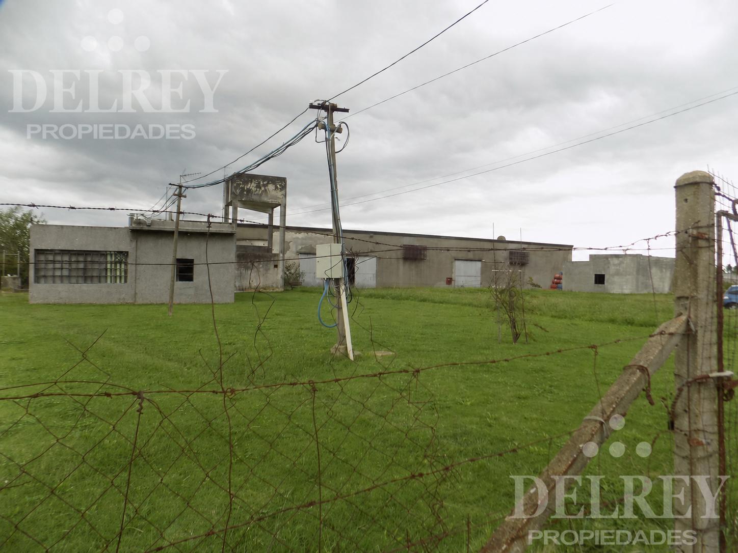 Venta/Alquiler Deposito DELREY PROPIEDADES · Photo 2