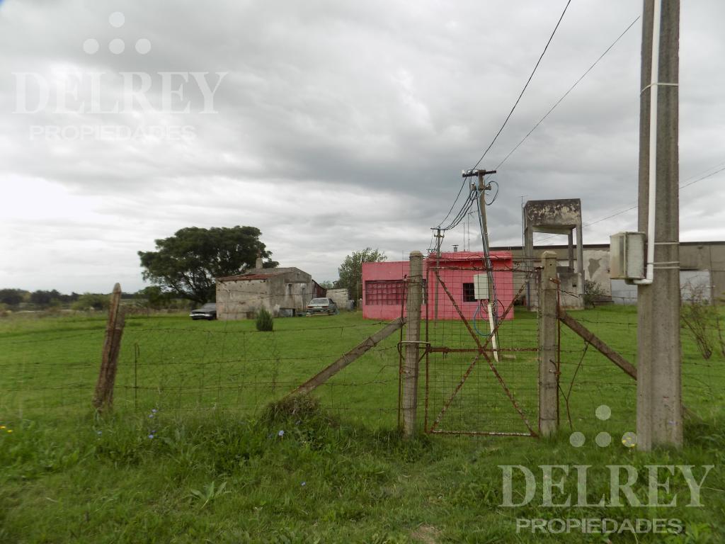 Venta/Alquiler Deposito DELREY PROPIEDADES · Photo 4