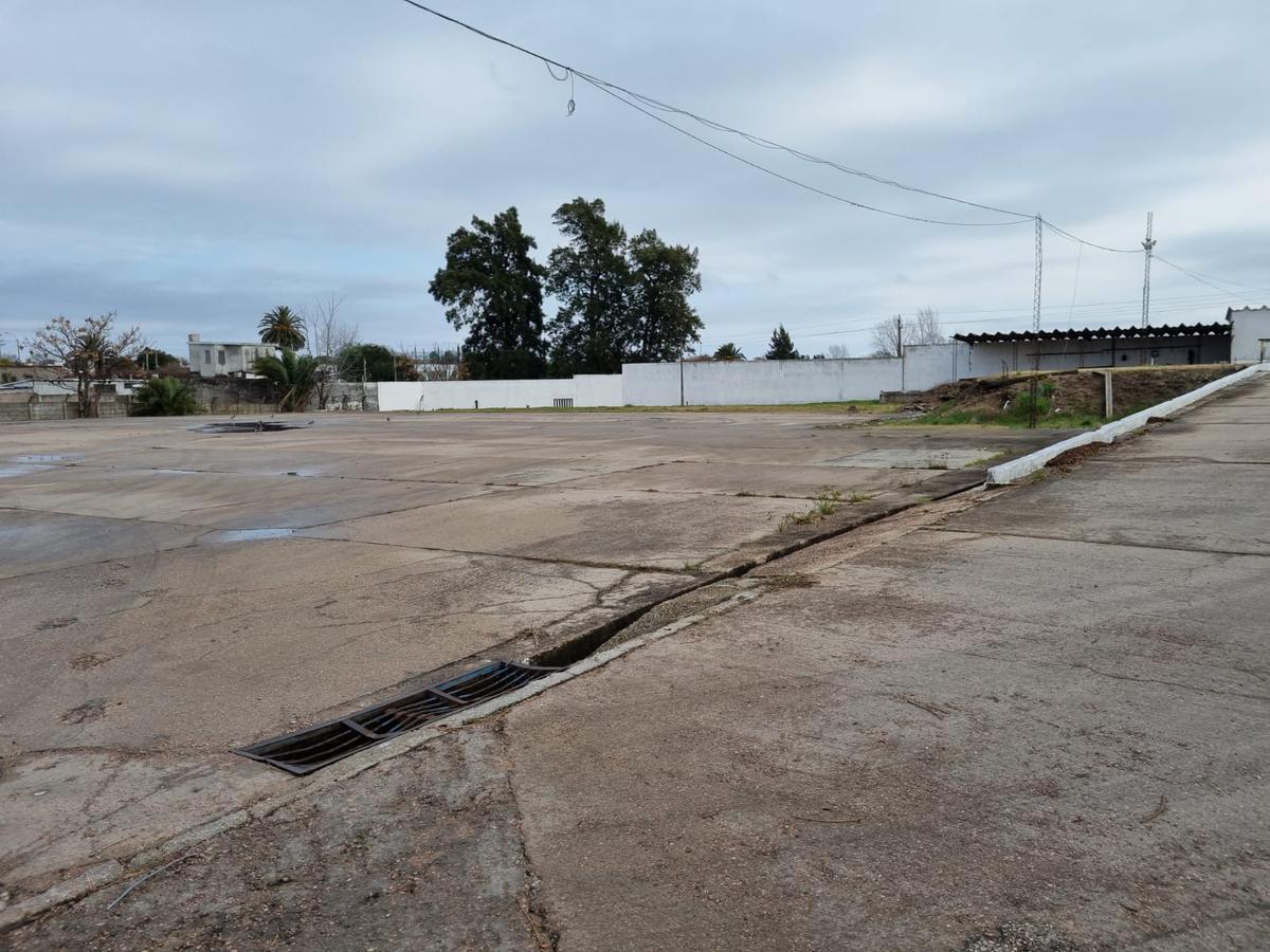 Depósito - Centro Logístico, ruta 67 próximo ruta 5,Las Piedras, 1250 m2 , altura 7 mts, nuevo , vig 24 hs !! · Foto 7
