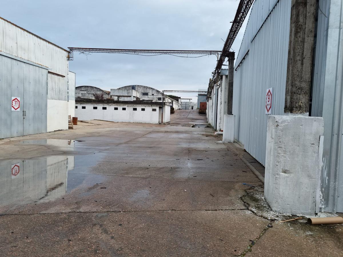 Depósito - Centro Logístico, ruta 67 próximo ruta 5,Las Piedras, 1250 m2 , altura 7 mts, nuevo , vig 24 hs !! · Foto 9