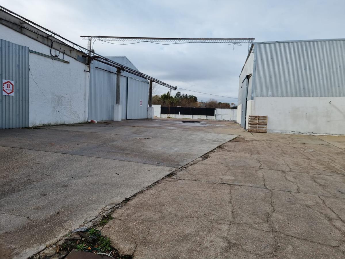 Depósito - Centro Logístico, ruta 67 próximo ruta 5,Las Piedras, 1250 m2 , altura 7 mts, nuevo , vig 24 hs !! · Foto 10