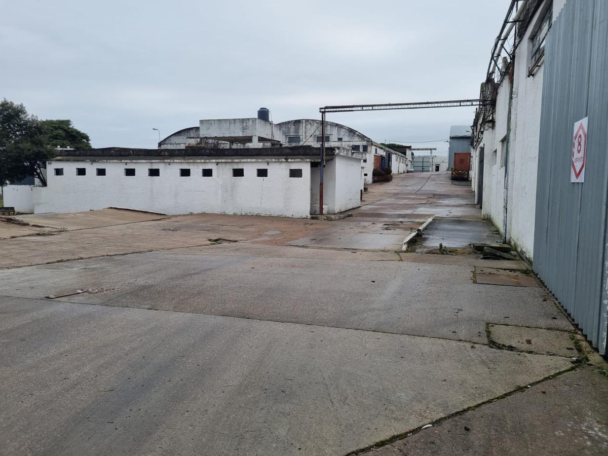 Depósito - Centro Logístico, ruta 67 próximo ruta 5,Las Piedras, 1250 m2 , altura 7 mts, nuevo , vig 24 hs !! · Foto 11