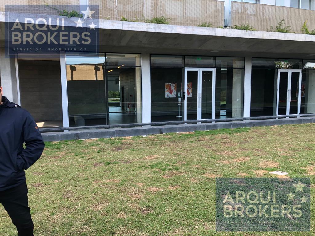 Apartamento de 3 dormitorios en alquiler en Malvín · Foto 11