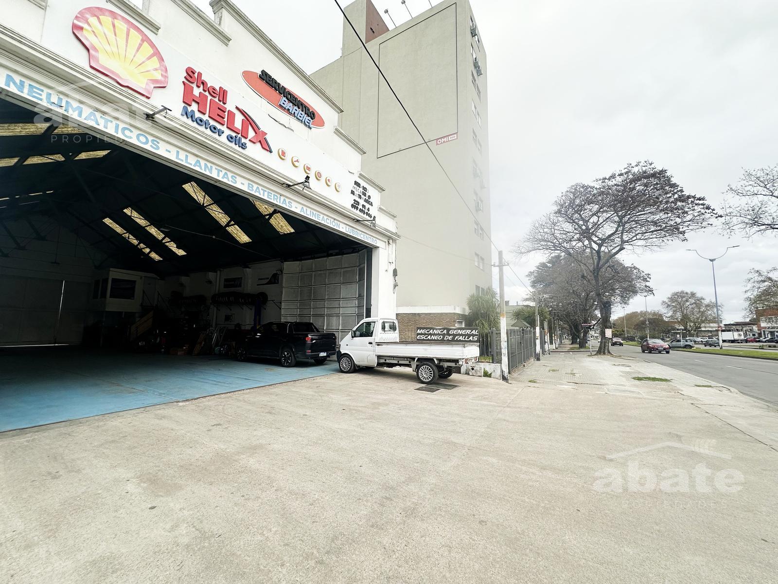 Alquiler depósito 350 m2. Gran Altura. Planta libre · Foto 11