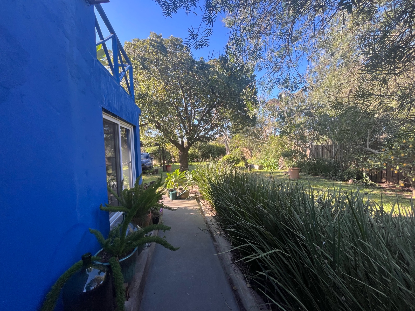 Azul en La Juanita · Foto 2