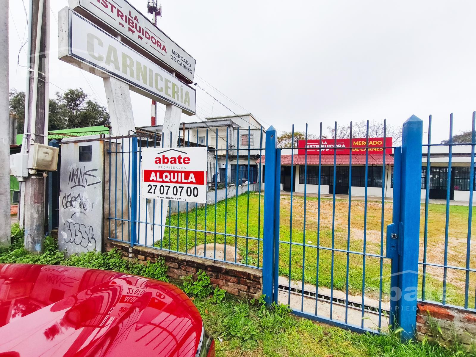 Alquiler local comercial sobre Wilson F. Aldunate ex Cno Carrasco, Paso Carrasco · Foto 7