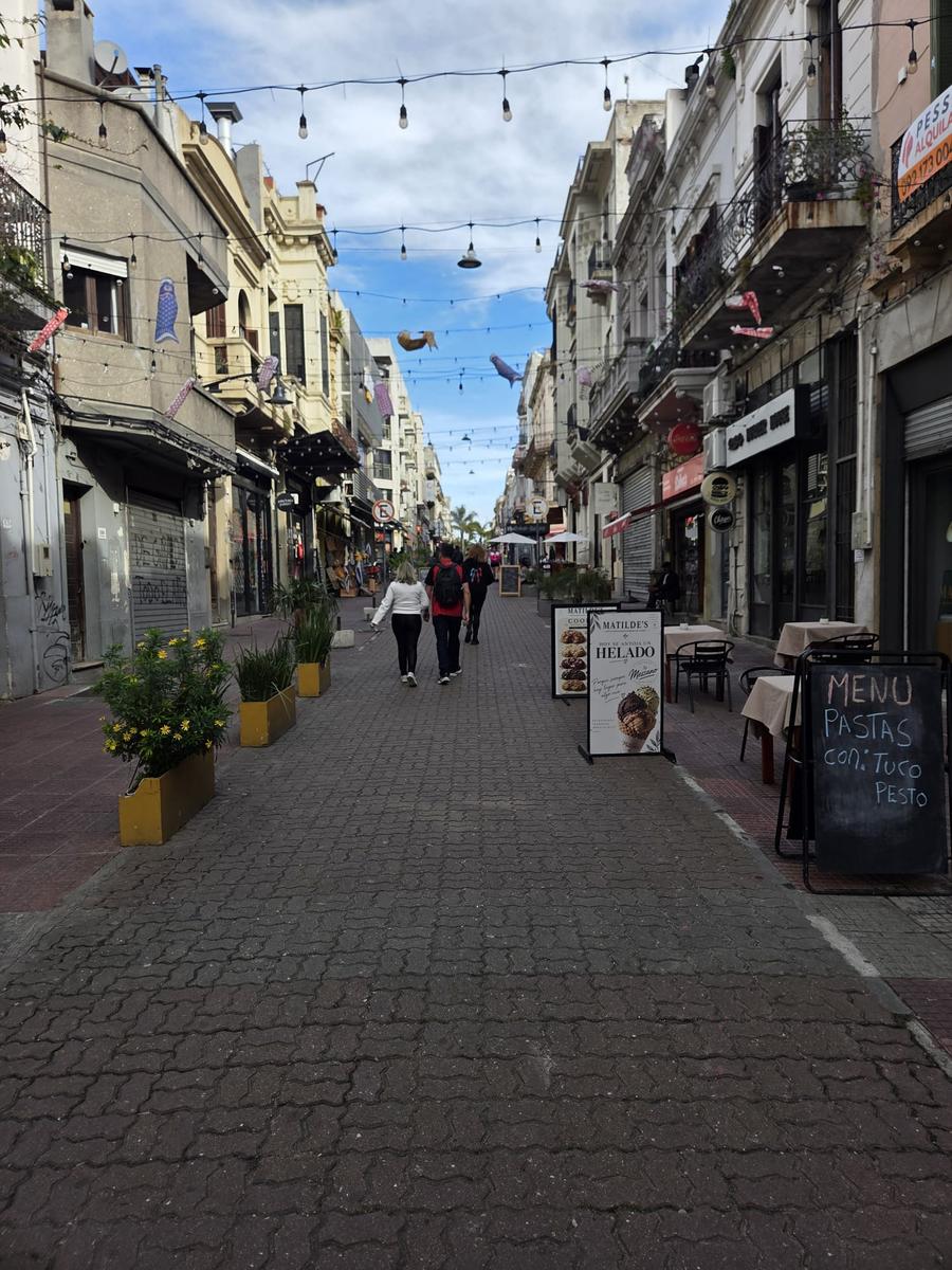 Perez Castellano y Piedras, 8 mts de frente, 238 m2, excelente estado !! · Foto 2