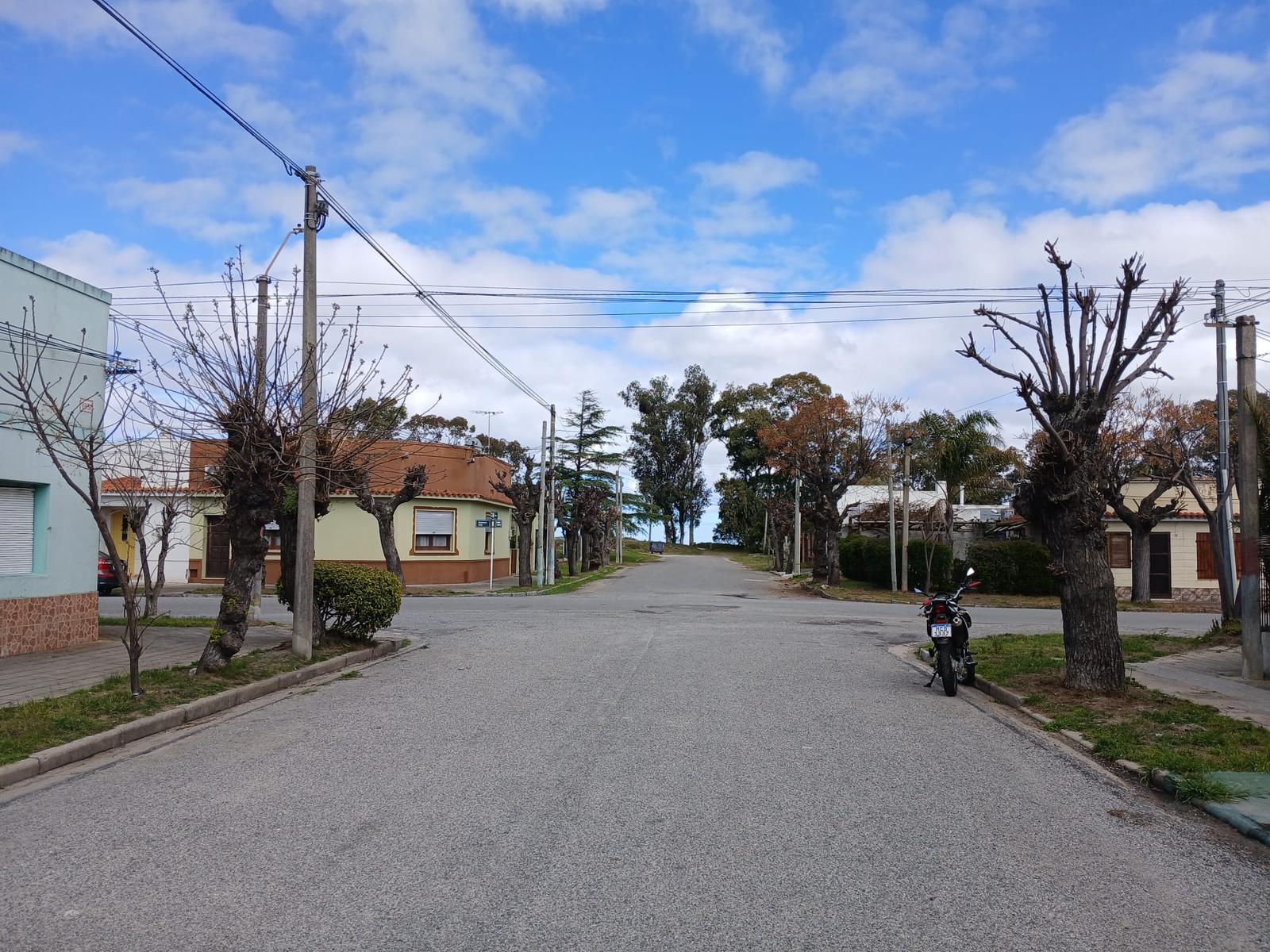 Foto 5 de 12