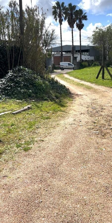 Alquiler Galpón con Terreno grande . · Foto 2