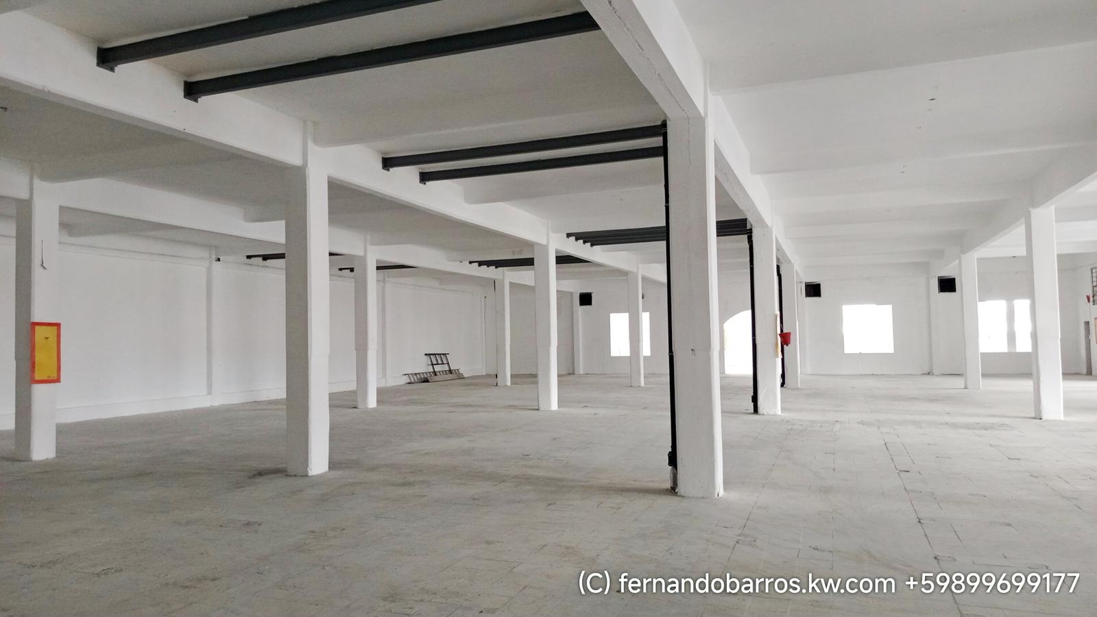 Amplia planta depósito en alquiler 1364 m2 con 4 oficinas frente al ex Mercado Modelo de Montevideo · Foto 1