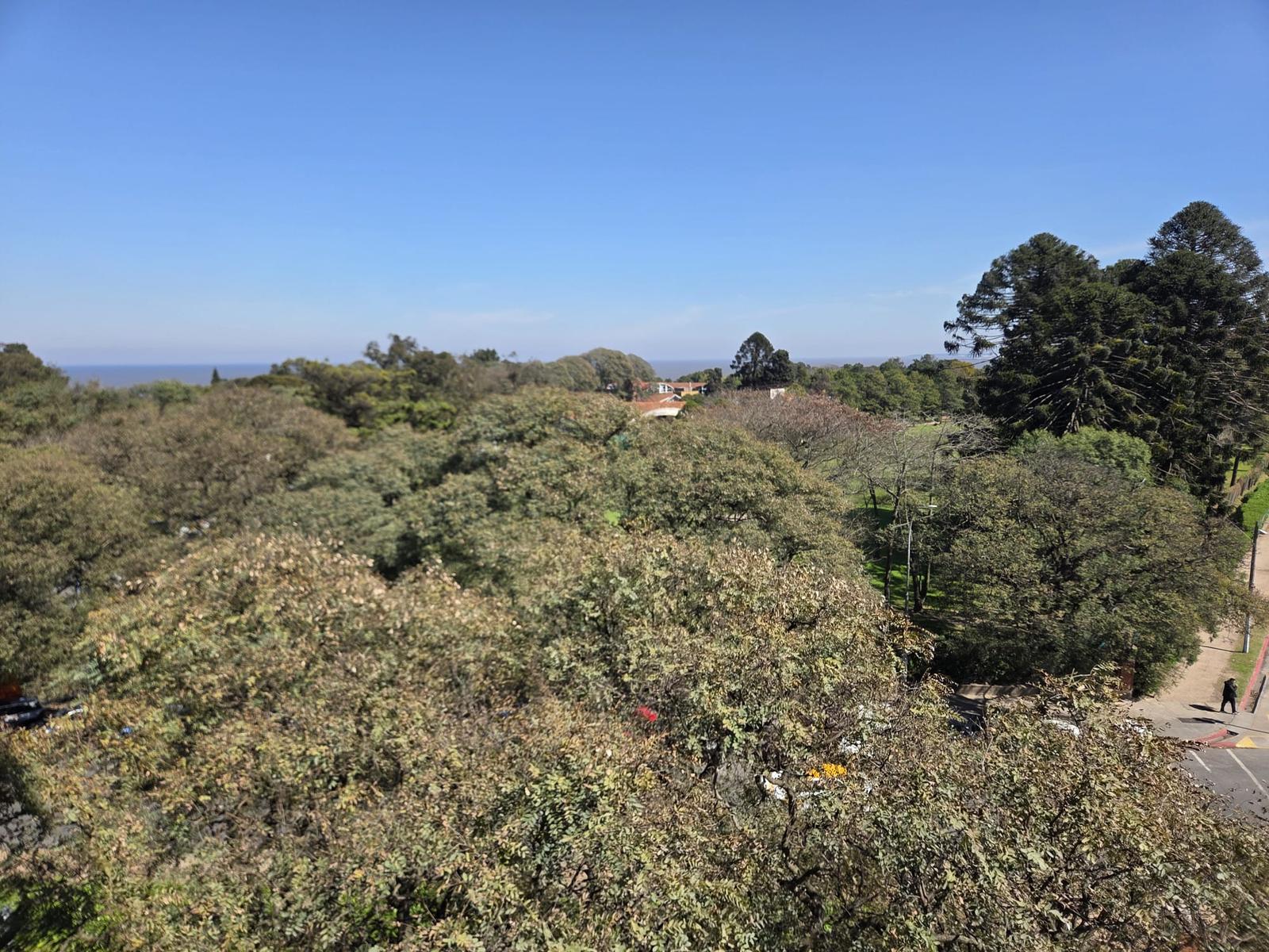 Apartamento en venta en Punta Carretas