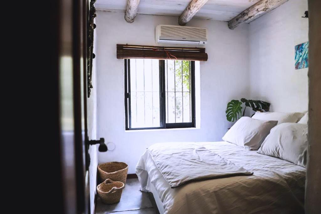 Venta o Alquiler de Chacra en Colonia, con parque arbolado y playa cerca · Foto 6