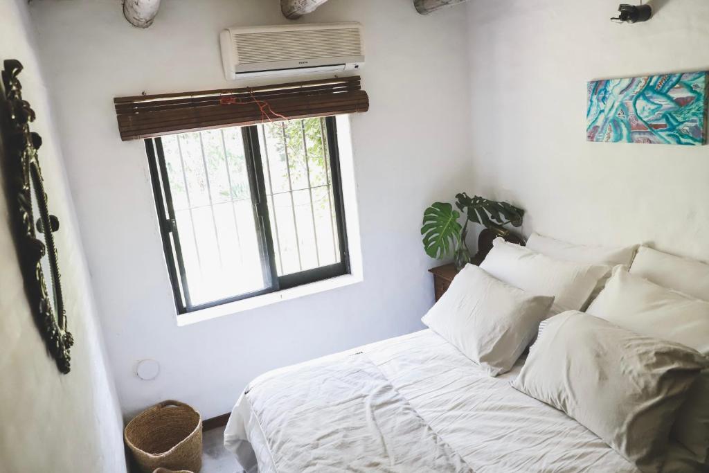Venta o Alquiler de Chacra en Colonia, con parque arbolado y playa cerca · Foto 8
