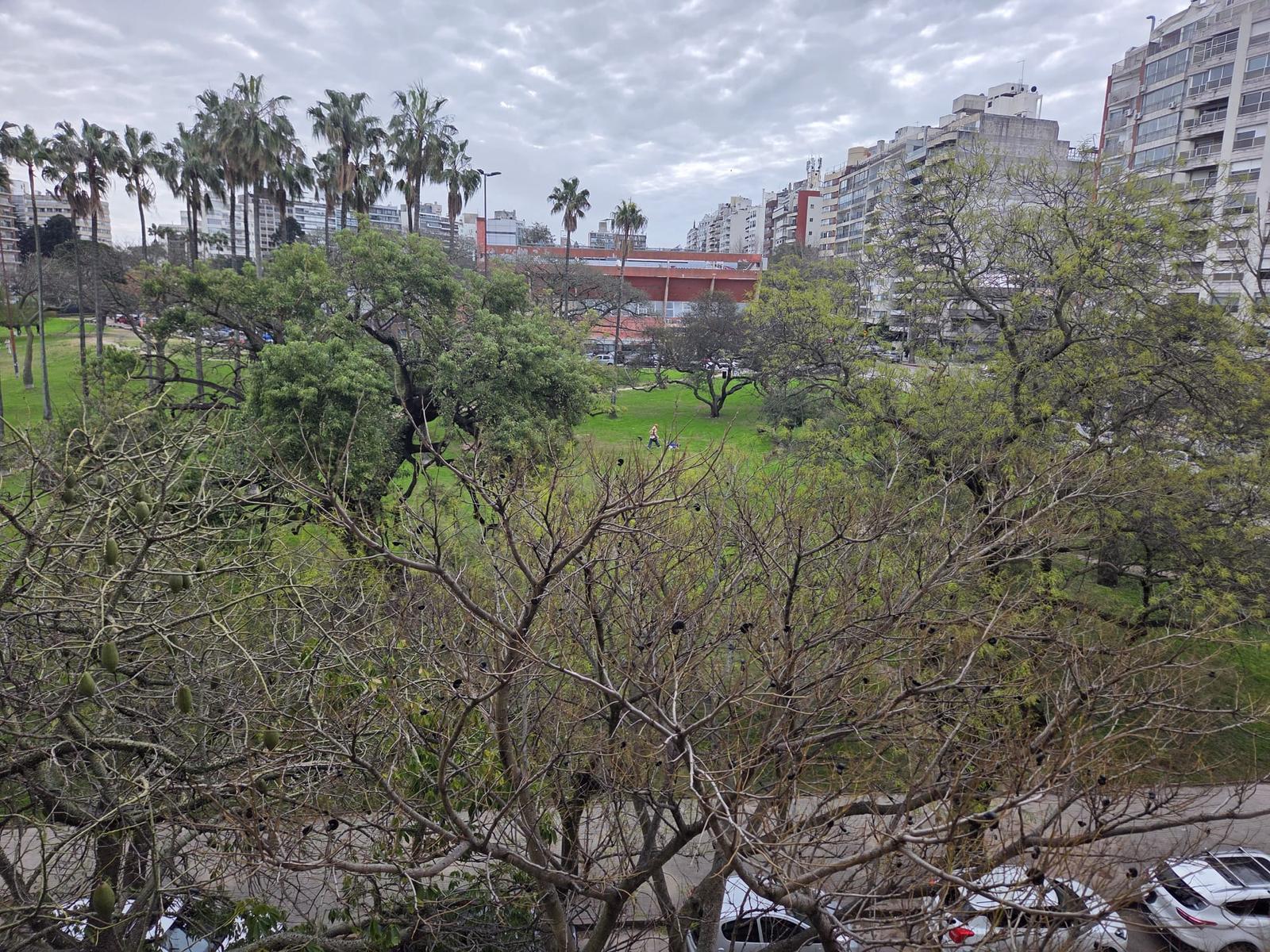 Foto 4 de 32